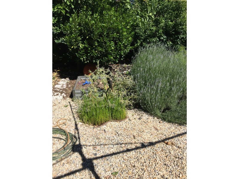 8 Kiewa-Bonegilla Road, Tangambalanga VIC 3691