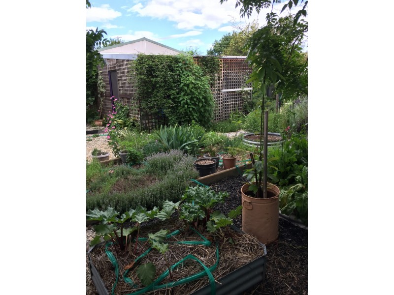 8 Kiewa-Bonegilla Road, Tangambalanga VIC 3691