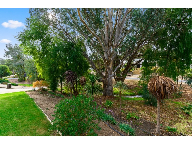 10 Blue Bonnet Way, Wodonga VIC 3690