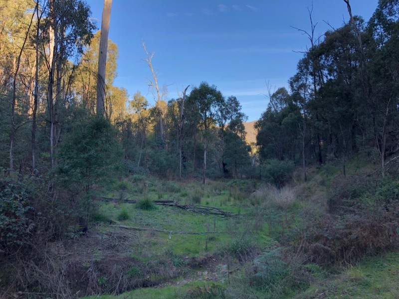 Lot 1 Dartmouth Road, Dartmouth VIC 3701