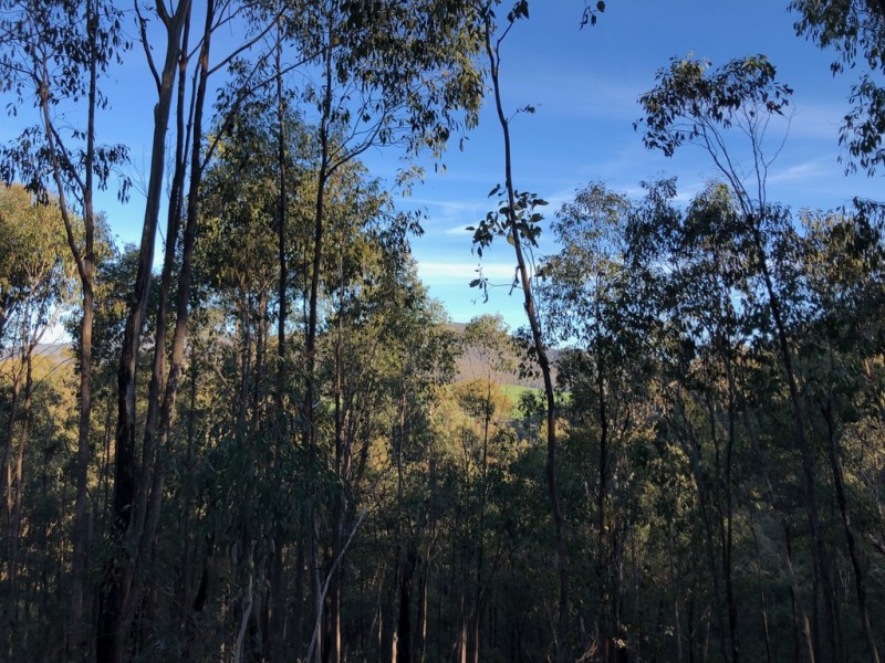 Lot 1 Dartmouth Road, Dartmouth VIC 3701