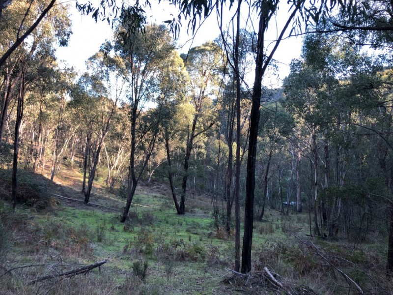 Lot 1 Dartmouth Road, Dartmouth VIC 3701