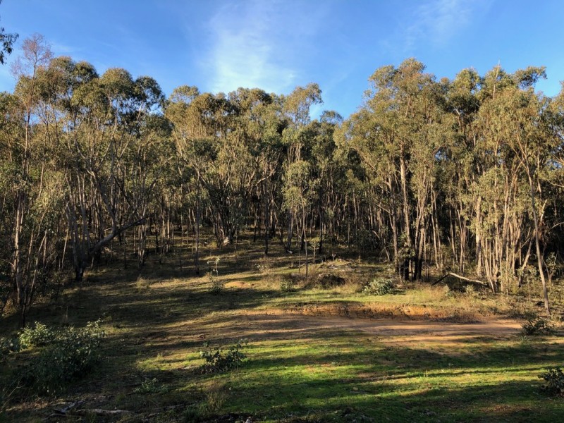 Lot 1 Dartmouth Road, Dartmouth VIC 3701