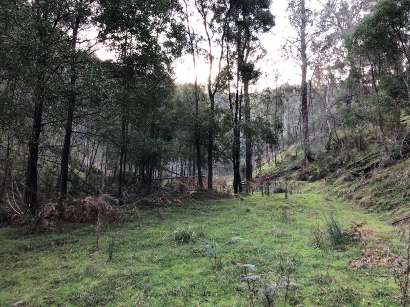 Lot 1 Dartmouth Road, Dartmouth VIC 3701