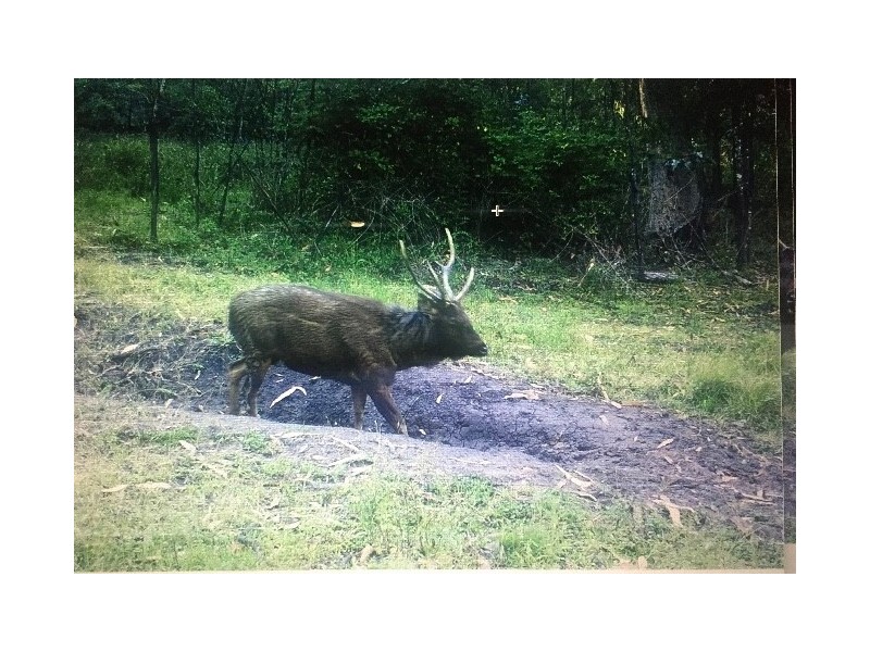 Lot 1 Dartmouth Road, Dartmouth VIC 3701