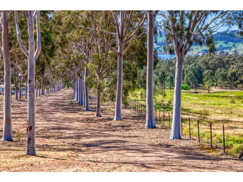 1324 Murray River Road, Talgarno VIC 3691