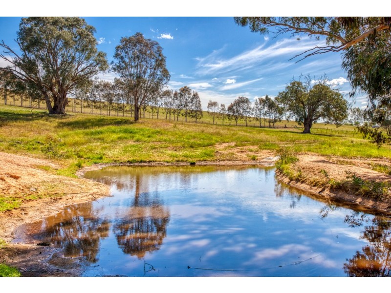 1324 Murray River Road, Talgarno VIC 3691