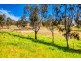 1324 Murray River Road, Talgarno VIC 3691