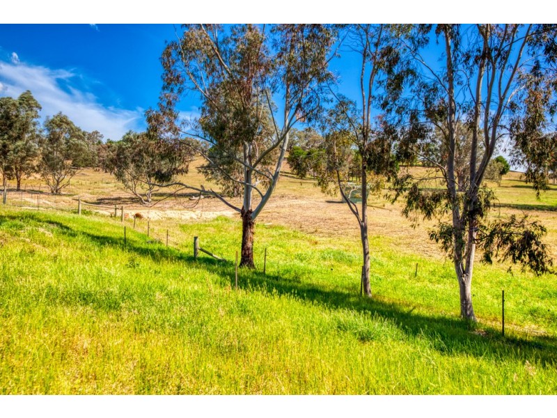 1324 Murray River Road, Talgarno VIC 3691