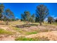 1324 Murray River Road, Talgarno VIC 3691
