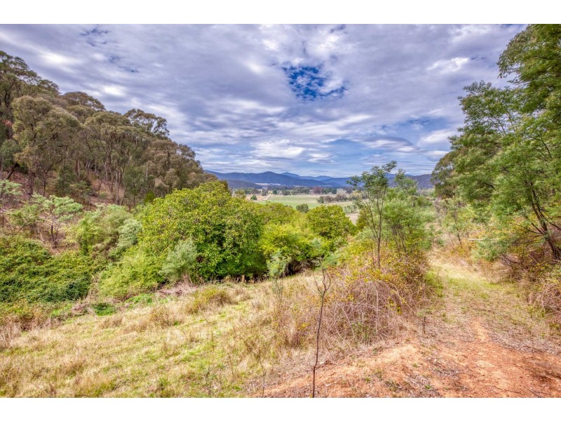 821 Mitta North Road, Eskdale VIC 3701