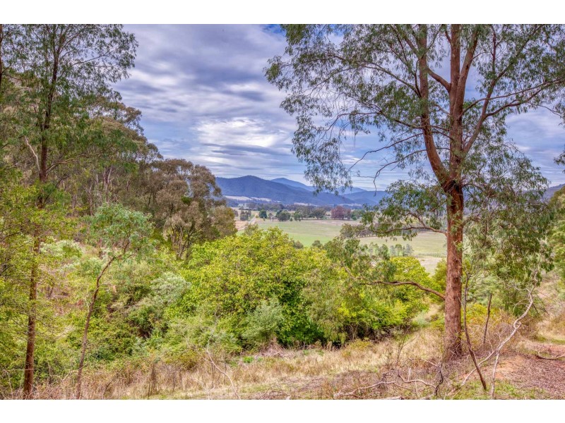 821 Mitta North Road, Eskdale VIC 3701