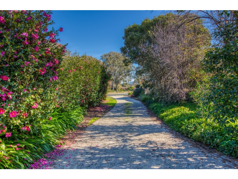 80 Cardo Drive, Springdale Heights NSW 2641