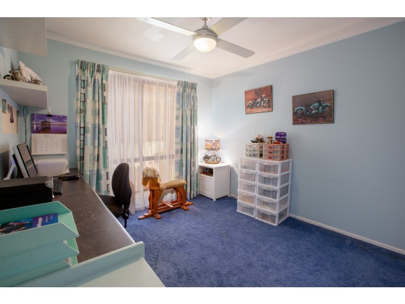 80 Cardo Drive, Springdale Heights NSW 2641