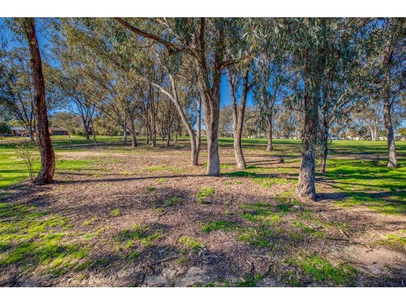 80 Cardo Drive, Springdale Heights NSW 2641