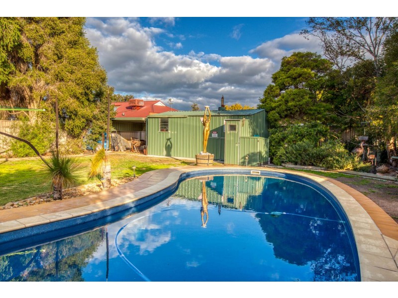 11 Whitehall Crt, Wodonga VIC 3690