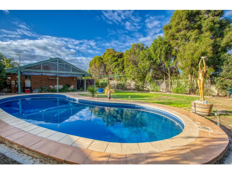 11 Whitehall Crt, Wodonga VIC 3690