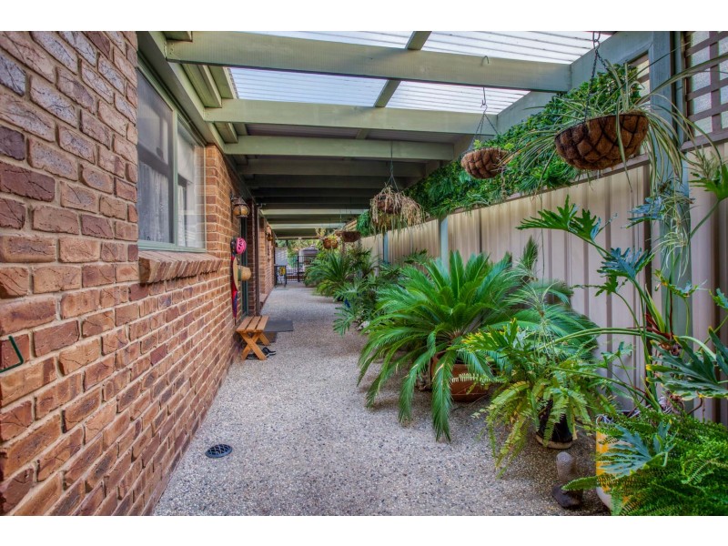 11 Whitehall Crt, Wodonga VIC 3690