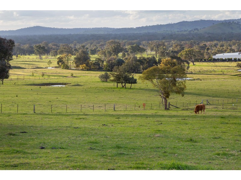 50 Coyles Road, West Wodonga VIC 3690