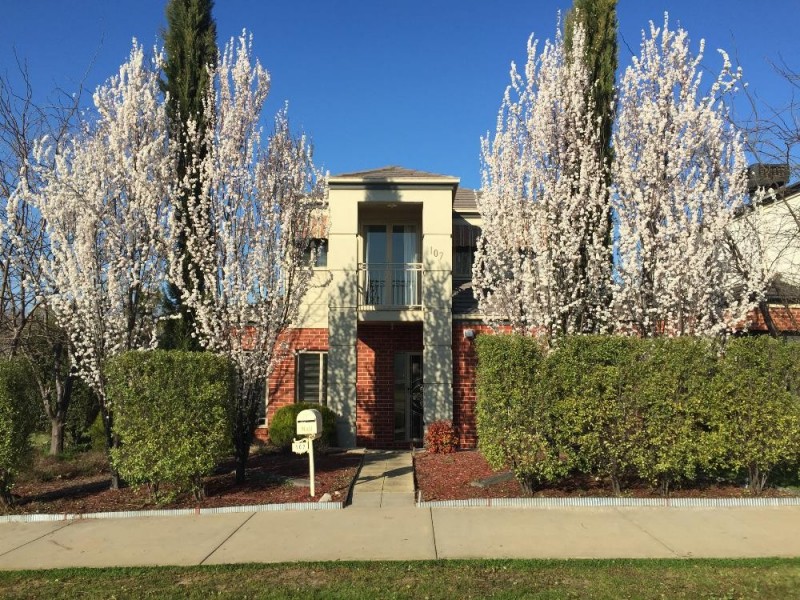 107 Yarralumla Drive, Wodonga VIC 3690