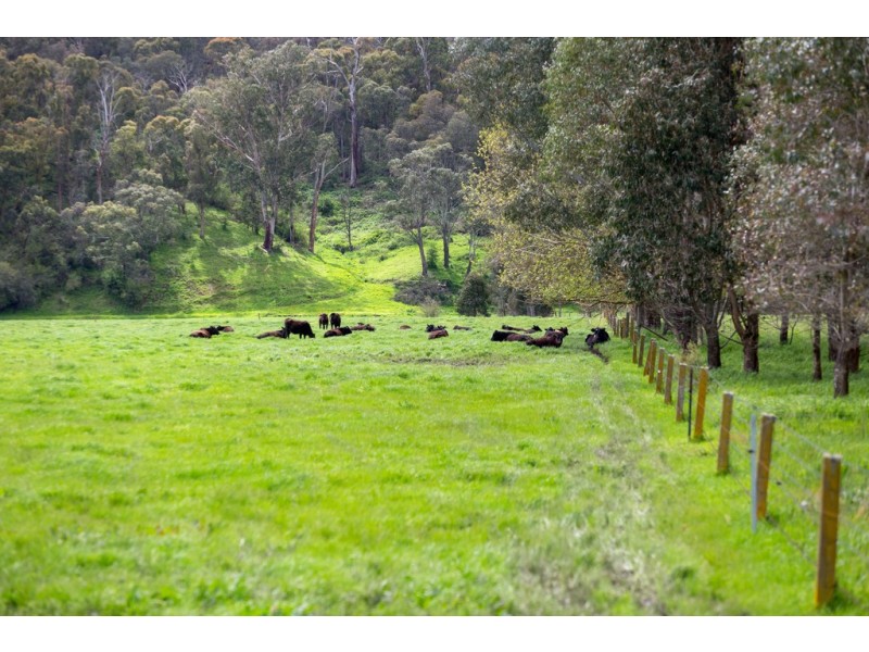 928 Mitta North Road, Mitta Mitta VIC 3701