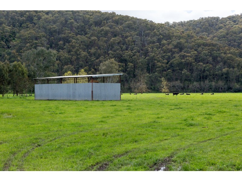 928 Mitta North Road, Mitta Mitta VIC 3701