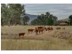 21 Boyes Road, Leneva VIC 3691