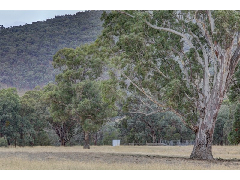 21 Boyes Road, Leneva VIC 3691
