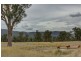 21 Boyes Road, Leneva VIC 3691