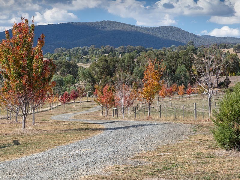 2923 Myrtleford-Yackandandah Road, Yackandandah VIC 3749