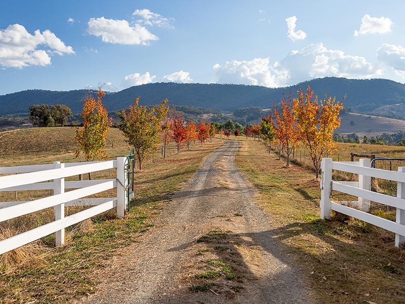 2923 Myrtleford-Yackandandah Road, Yackandandah VIC 3749