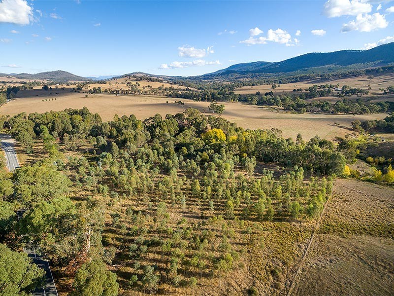 2923 Myrtleford-Yackandandah Road, Yackandandah VIC 3749