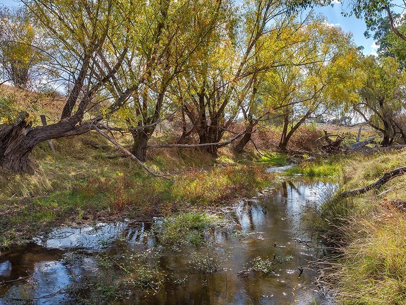 2923 Myrtleford-Yackandandah Road, Yackandandah VIC 3749