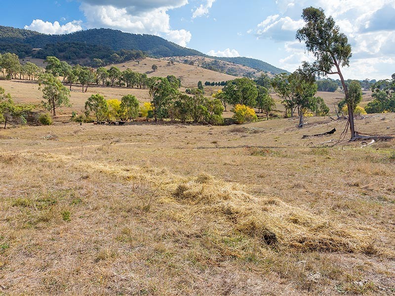 2923 Myrtleford-Yackandandah Road, Yackandandah VIC 3749