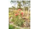 Lot 52 Jakary Court, Wodonga VIC 3690