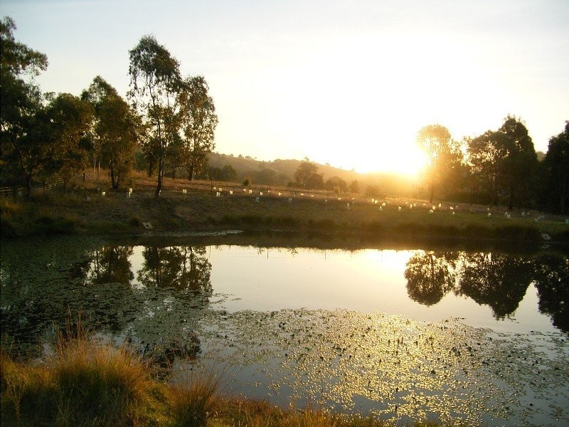 Lot 53 Jakary Court, Wodonga VIC 3690