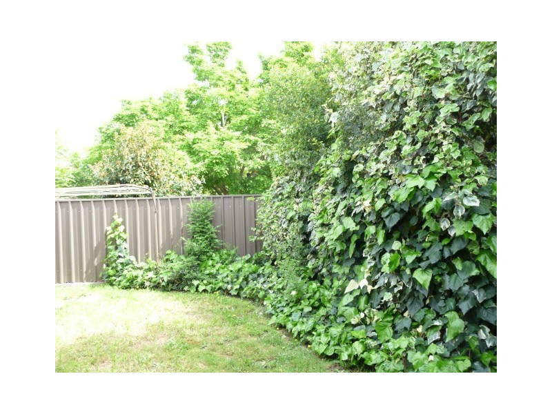 3/1 Opal Court, Wodonga VIC 3690