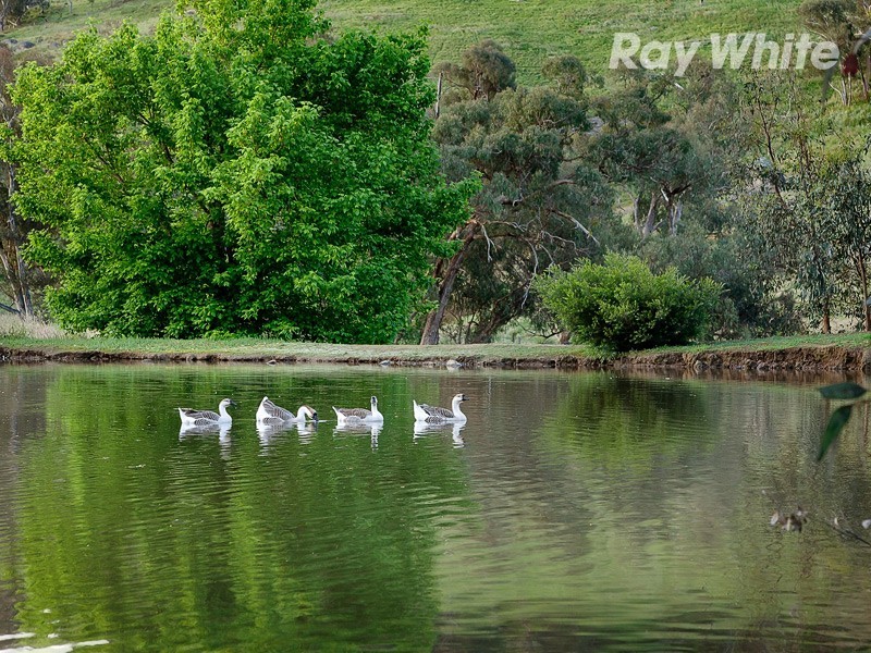 680 Huon Creek Road, Wodonga VIC 3690