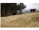 Lot 2, 553 Sandy Creek Road, Sandy Creek VIC 3695