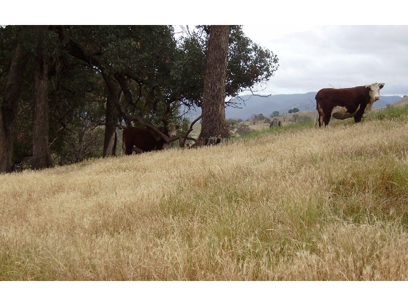 Lot 2, 553 Sandy Creek Road, Sandy Creek VIC 3695