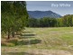 812 Tallangatta Creek Rd, Tallangatta Valley VIC 3701