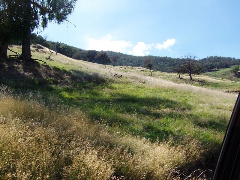 307600 McCallums Lane, Bullioh VIC 3700