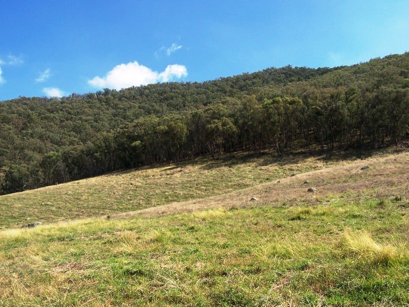 307600 McCallums Lane, Bullioh VIC 3700