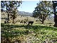 6 Jurgies Track, Georges Creek VIC 3700