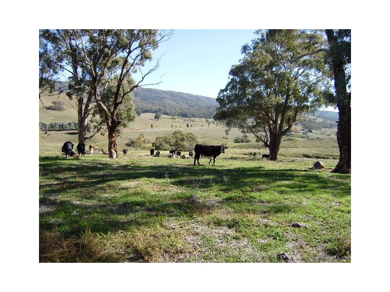 6 Jurgies Track, Georges Creek VIC 3700