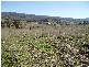 6 Jurgies Track, Georges Creek VIC 3700