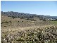 6 Jurgies Track, Georges Creek VIC 3700