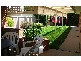 Wodonga VIC 3690