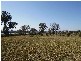 Wodonga VIC 3690