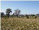 Wodonga VIC 3690